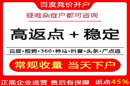 网络推广与竞价广告：双管齐下的策略案例